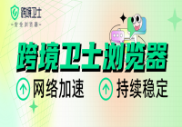 跨境卫士浏览器：“黑五”网络加速新动力！